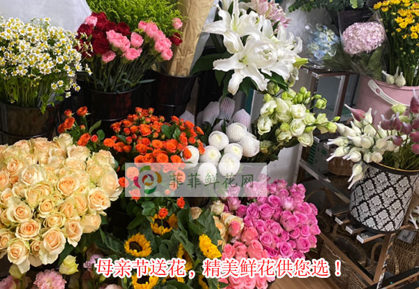 2024怀安县母亲节送花,怀安县精美鲜花供您选!